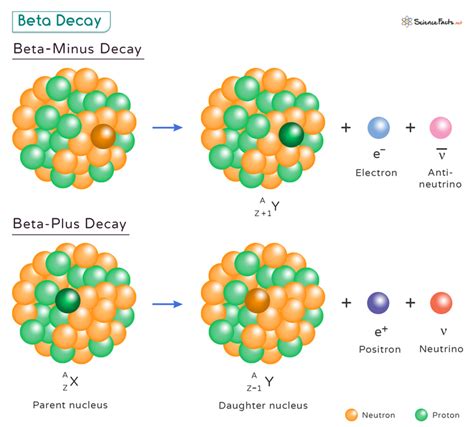 Beta Decay: Definition, Equation, Types, and Applications.